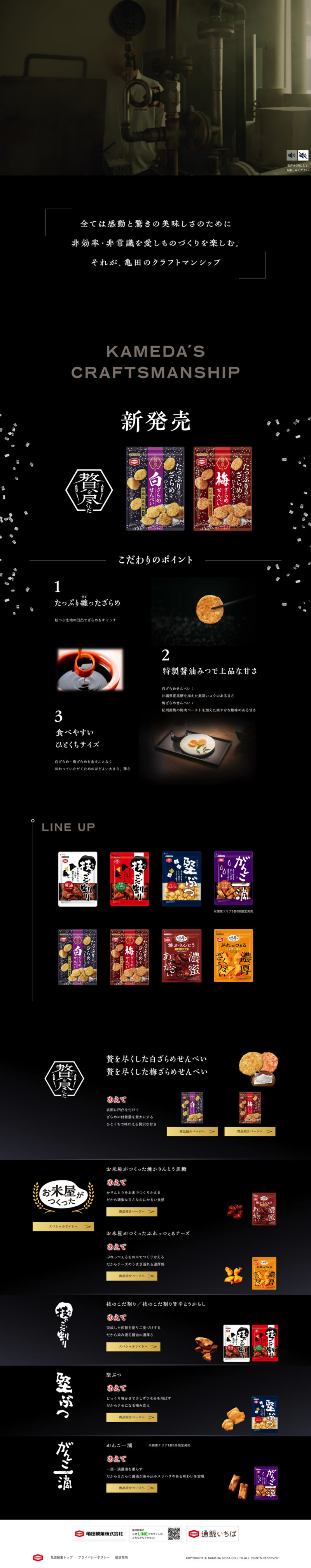 亀田製菓 特設LP