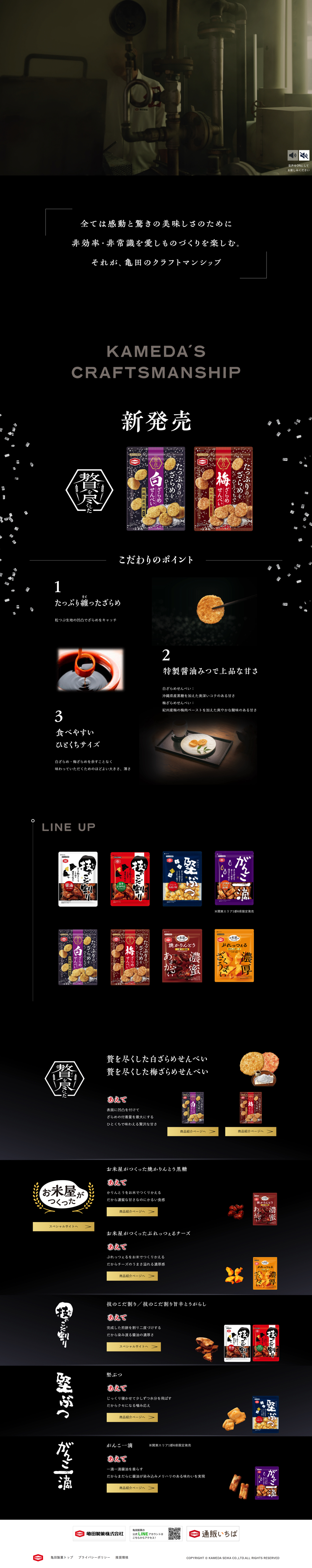 亀田製菓 特設LP